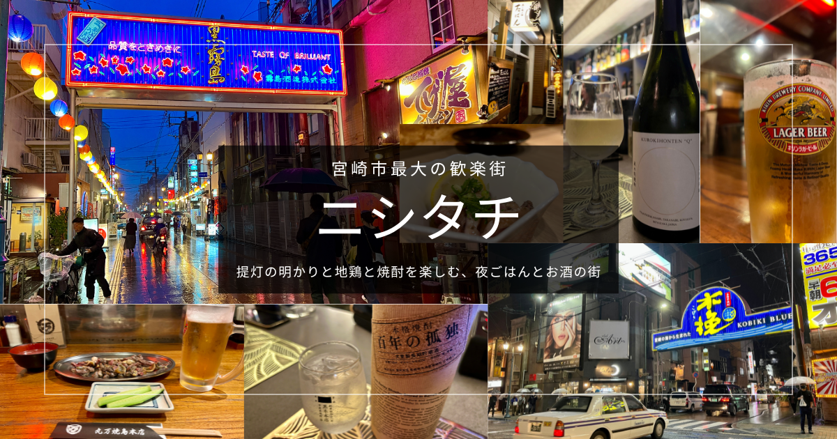 宮崎市で夜ご飯どこへ行く？ニシタチの飲食店エリアと名物グルメ紹介
