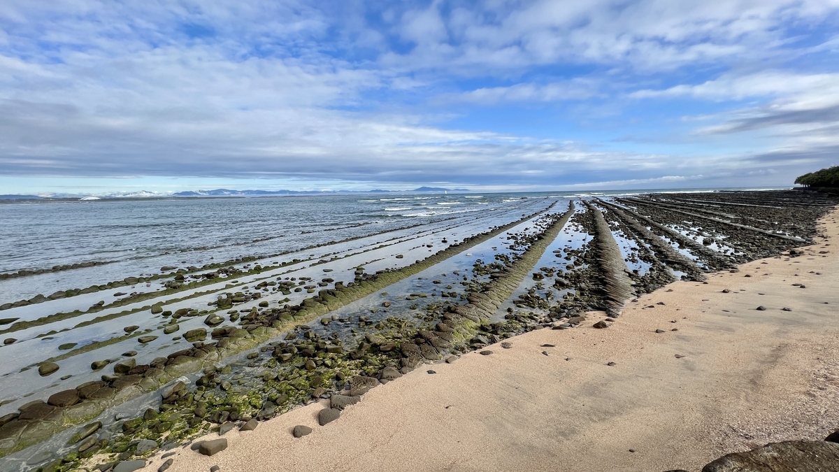 青島周辺に広がる鬼の洗濯板の岩肌 海に向かって規則的な岩が並ぶ様子