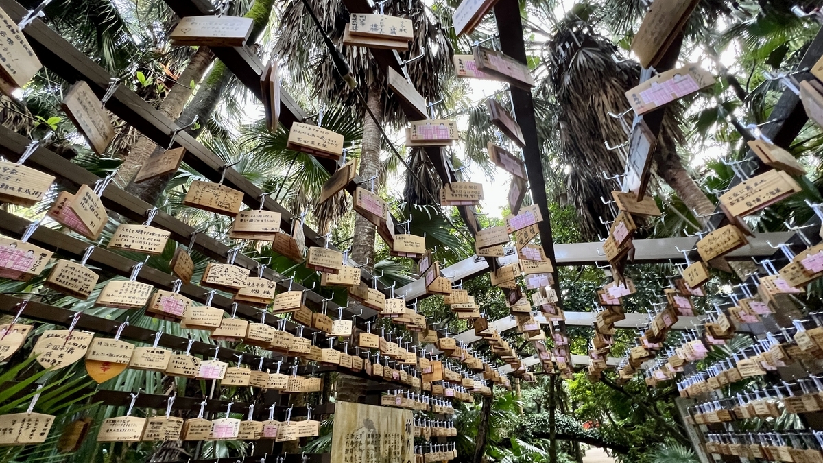 頭上まで覆うように絵馬が並ぶ通路 緑の葉と木々が背景に広がる祈りの古道の景色