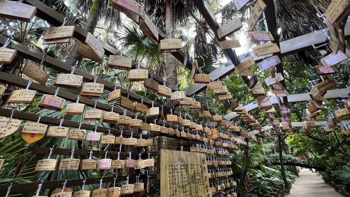 密集した絵馬が続く祈りの古道の通路 木々の緑と光が差し込む印象的な風景