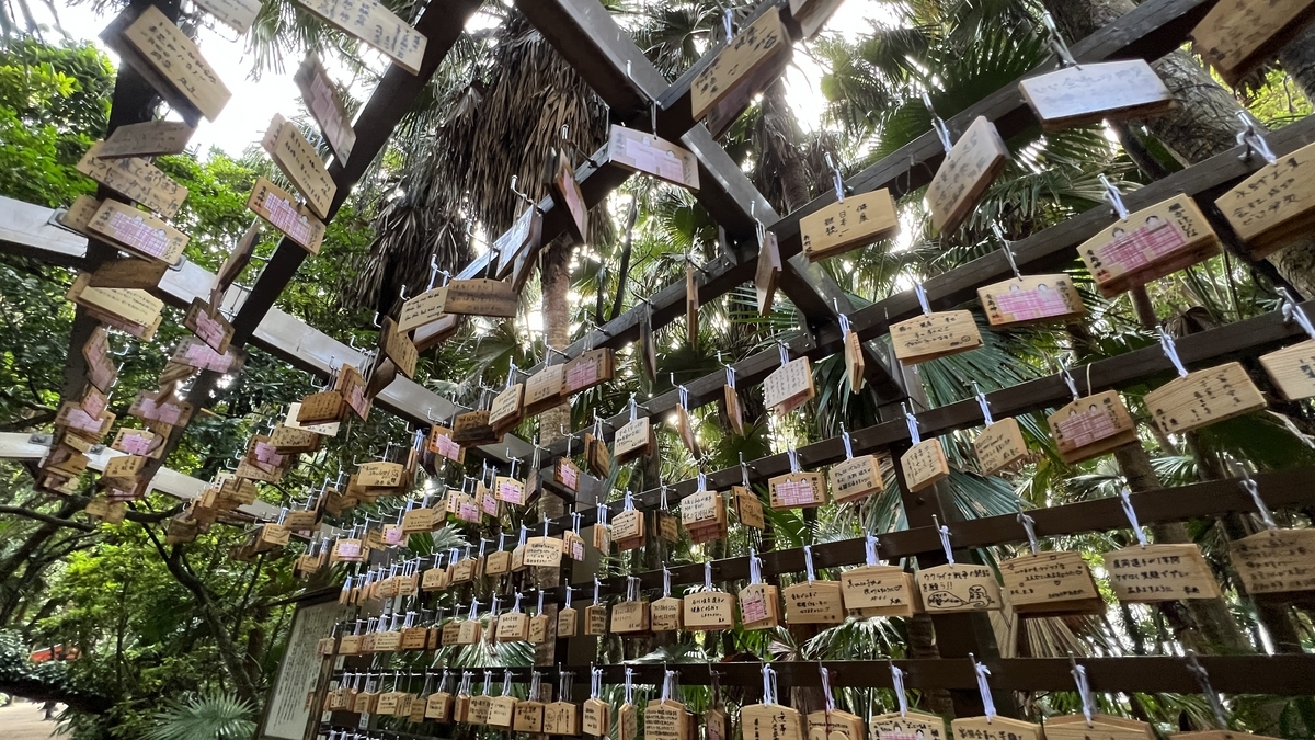 絵馬が重なり合うように吊り下がる祈りの古道の様子 自然光が入り込む参道