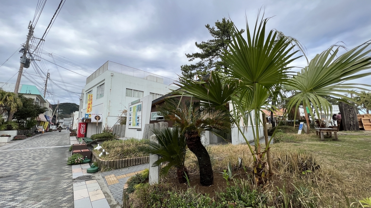 南国植物と白い建物が並ぶ青島参道商店街周辺の景色 緩やかな道沿いにヤシの木が立ち並ぶ