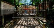 Walking Through Aoshima Shrine in Miyazaki: A Coastal Island Shrine Experience