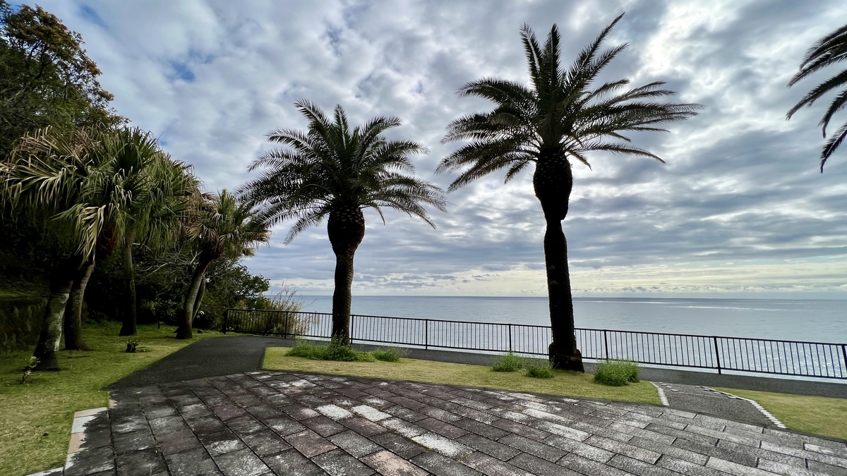 วิวชายฝั่งนิชินัน มองผ่านต้นปาล์มและทางเดินริมทะเล