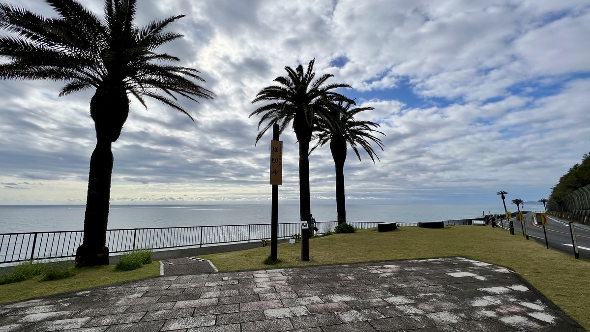 ทิวทัศน์มหาสมุทรแปซิฟิก มองจากพื้นที่สนามหญ้าที่มีต้นปาล์มเรียงราย