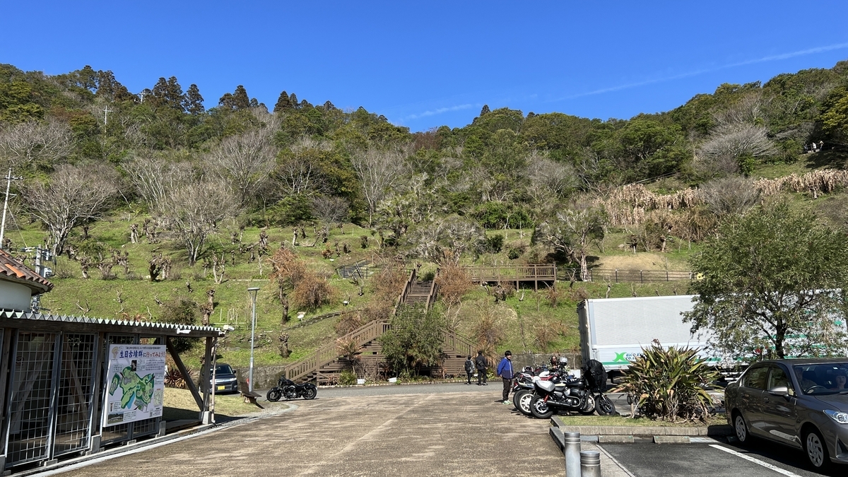 高台に設置された展望台の建物とその奥に続く海