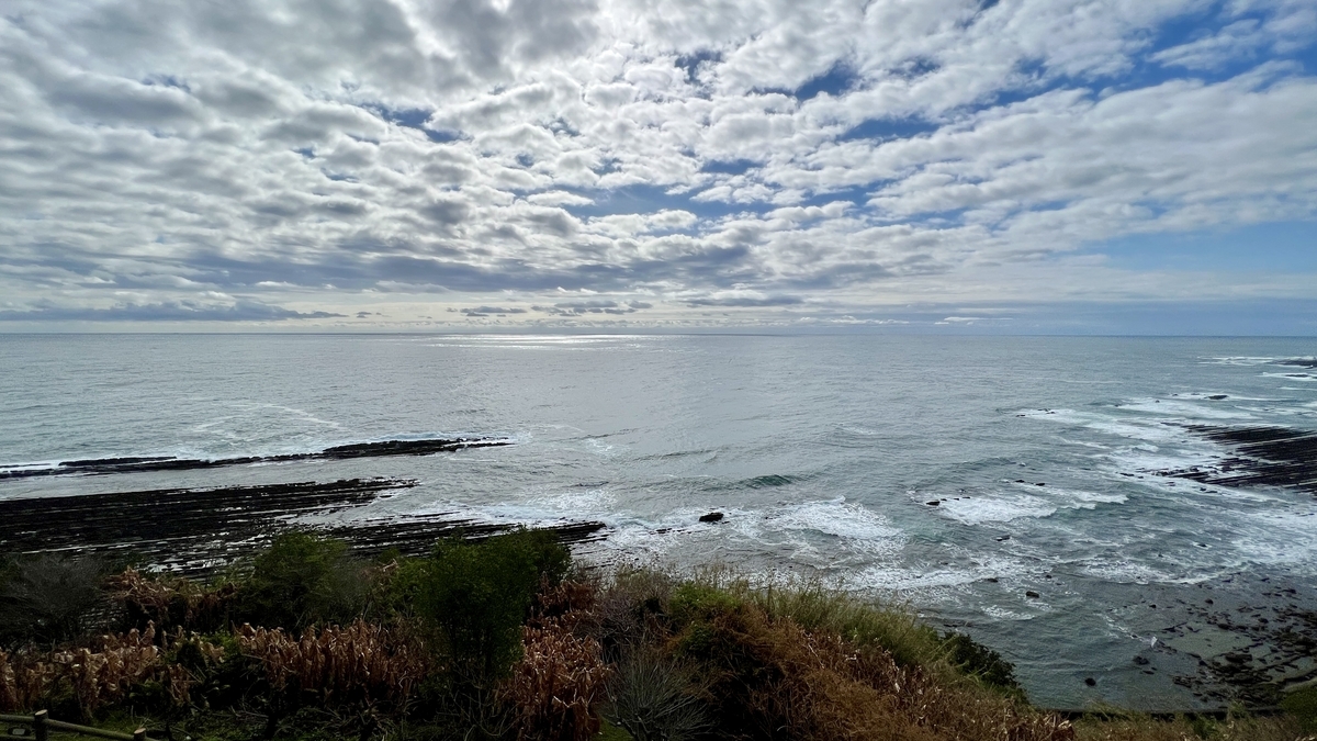 高台から眺める日南海岸の美しいカーブを描く海岸線