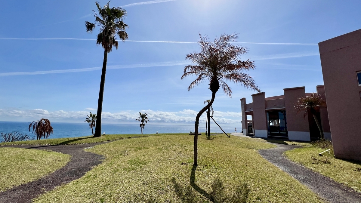 海とフェニックスの木を見渡せるセンタープラザ周辺の風景