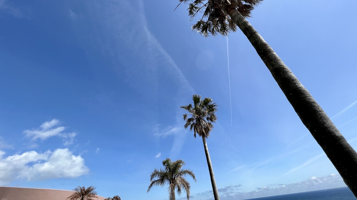 センタープラザ周辺の開けた空と南国風の植栽