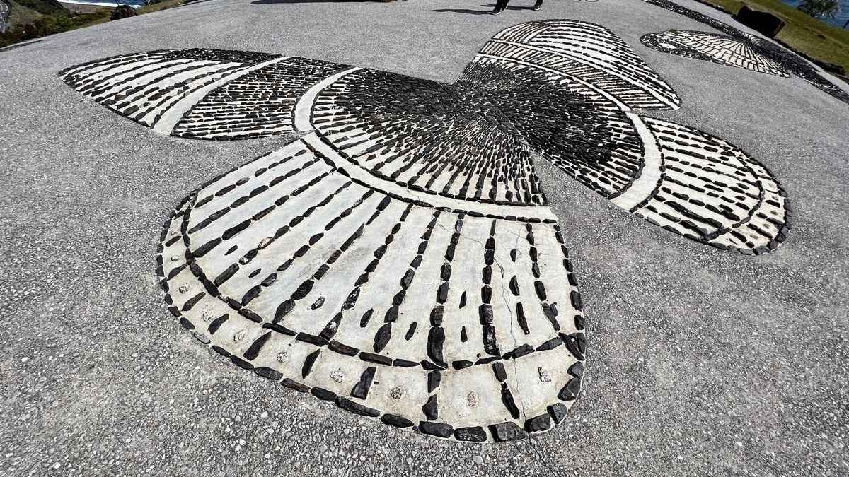 蝶の地上絵を間近で見た装飾模様の詳細