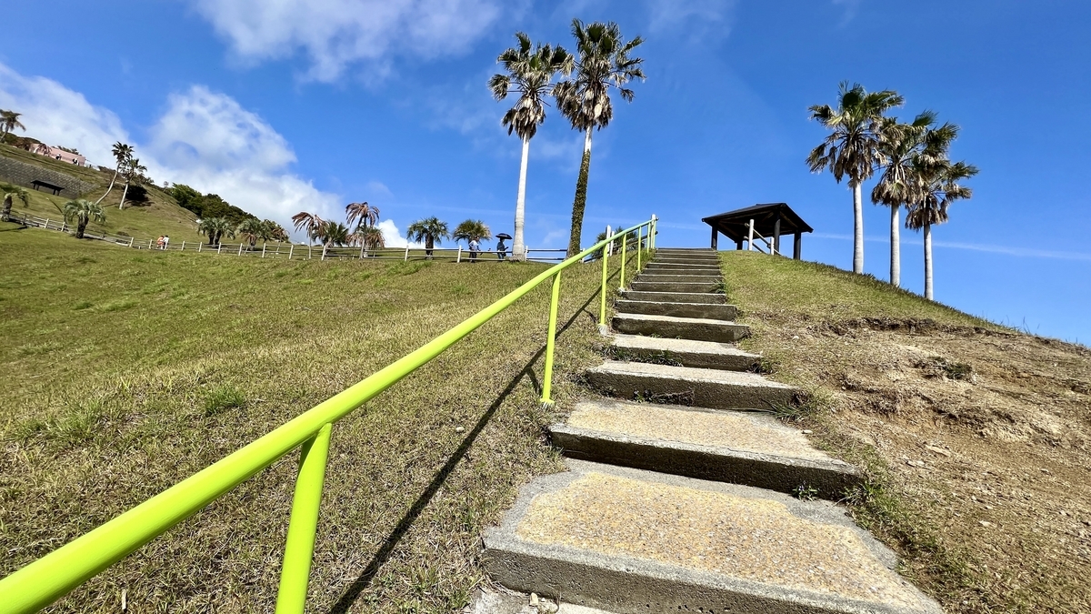 サンメッセ日南の丘を登るコンクリート階段とフェニックスの木