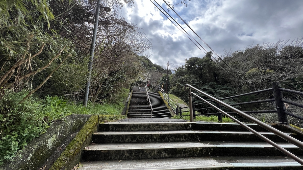 บันไดหินที่มีความชันไม่มากทอดยาวขึ้นไปในป่า พร้อมราวจับด้านข้าง