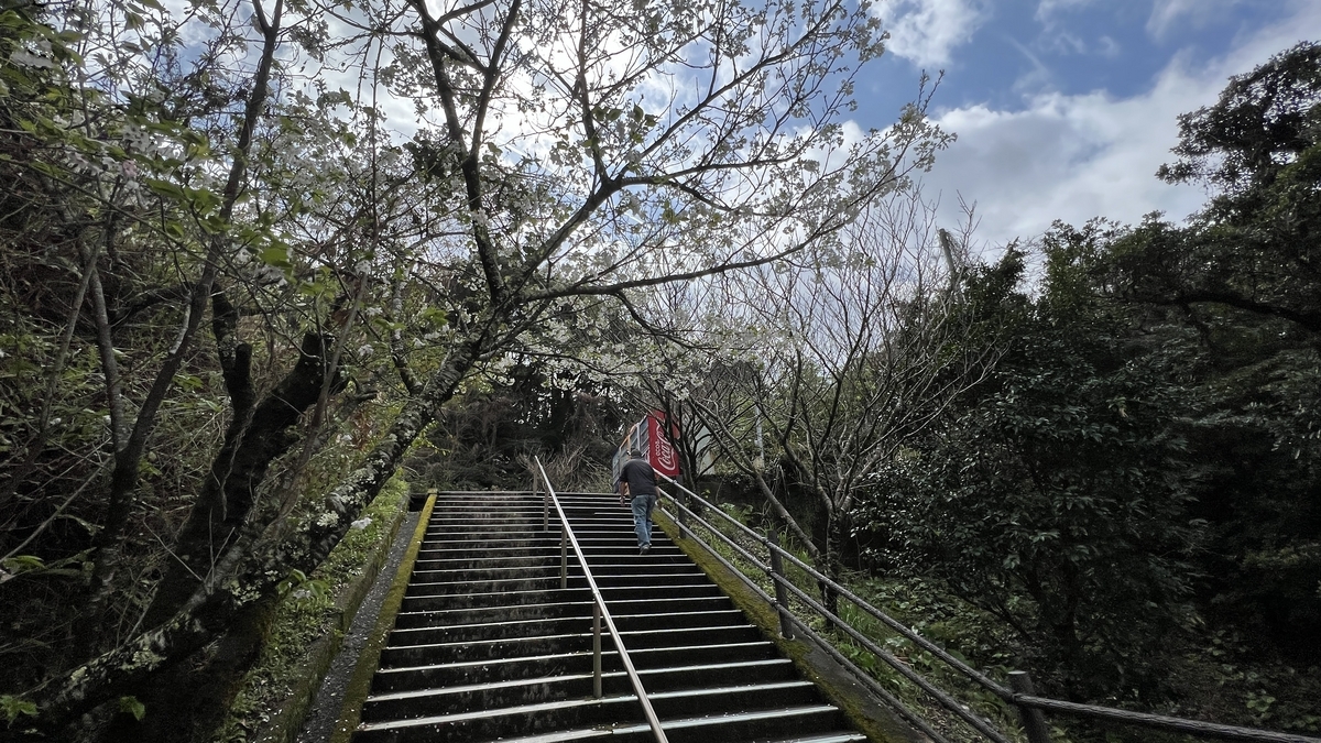 ผู้มาเยือนกำลังเดินขึ้นบันไดหินที่ล้อมรอบด้วยต้นไม้