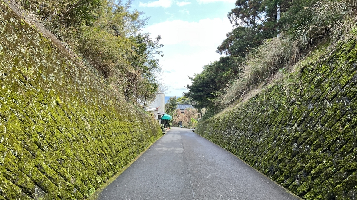 ถนนตรงที่ตัดผ่านเนินเขาเขียวชอุ่มทั้งสองด้าน