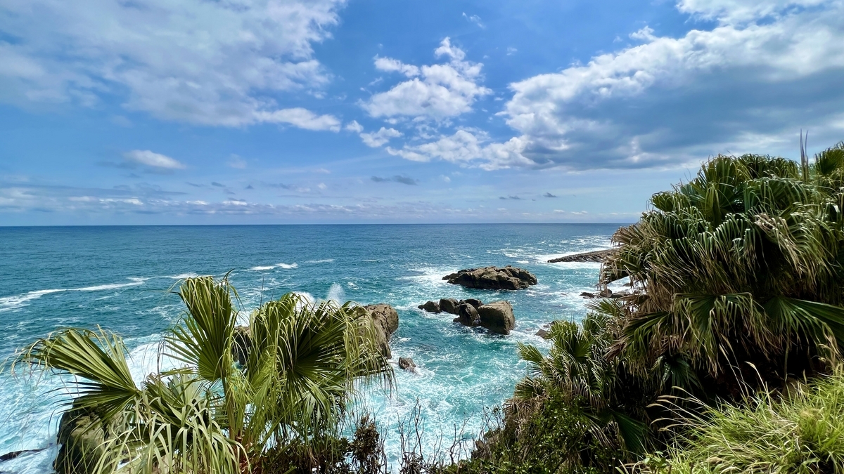 蓝色大海和南国植物在参道旁展开的景色