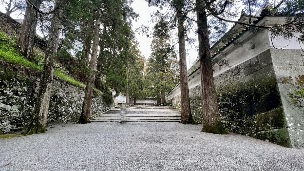 ทิวทัศน์ที่สวยงามของเส้นทางด้านซ้ายพร้อมป่าซีดาร์และมอสที่กลมกลืนกัน