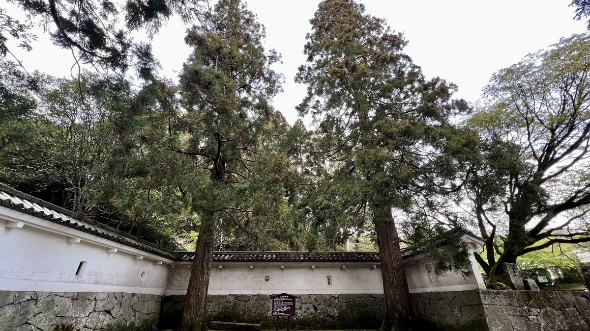 ที่ตั้งชิอาวาเซะสึกิพร้อมซีดาร์โอบิสี่ต้นและกำแพงขาวโดยรอบ