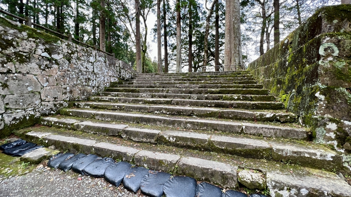 บันไดหินปีนขึ้นผ่านป่าซีดาร์พร้อมกำแพงหิน