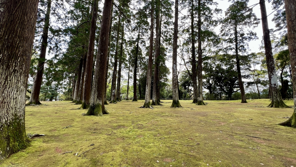 ทิวทัศน์ที่เงียบสงบของป้อมหลักเดิมพร้อมรากซีดาร์และมอสที่กลมกลืนกัน