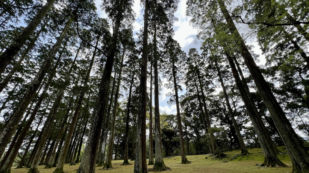 ทิวทัศน์ที่เงียบสงบมองขึ้นไปยังป้อมหลักเดิมที่ปกคลุมด้วยมอสและซีดาร์โอบิ