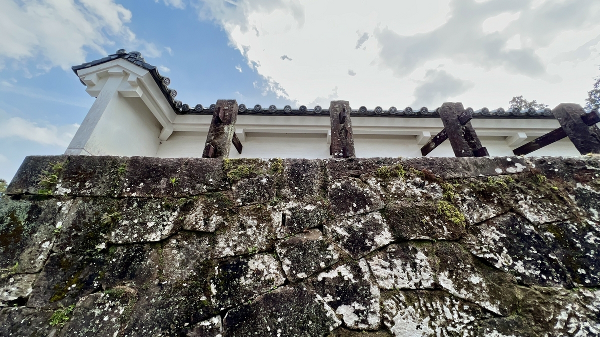 มุมมองใกล้ชิดของมอสบนกำแพงหินและพื้นผิวหินที่เสื่อมสภาพ