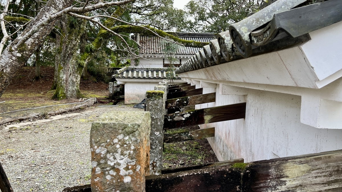 ทิวทัศน์บรรยากาศของกำแพงหินปกคลุมมอสพร้อมต้นไม้