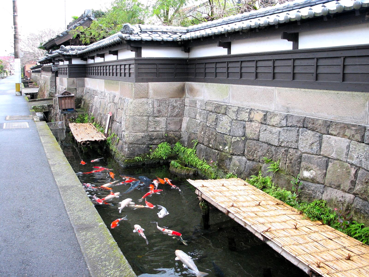 石垣の横を流れる水路に鯉が群れ歴史的な街並みが続く様子