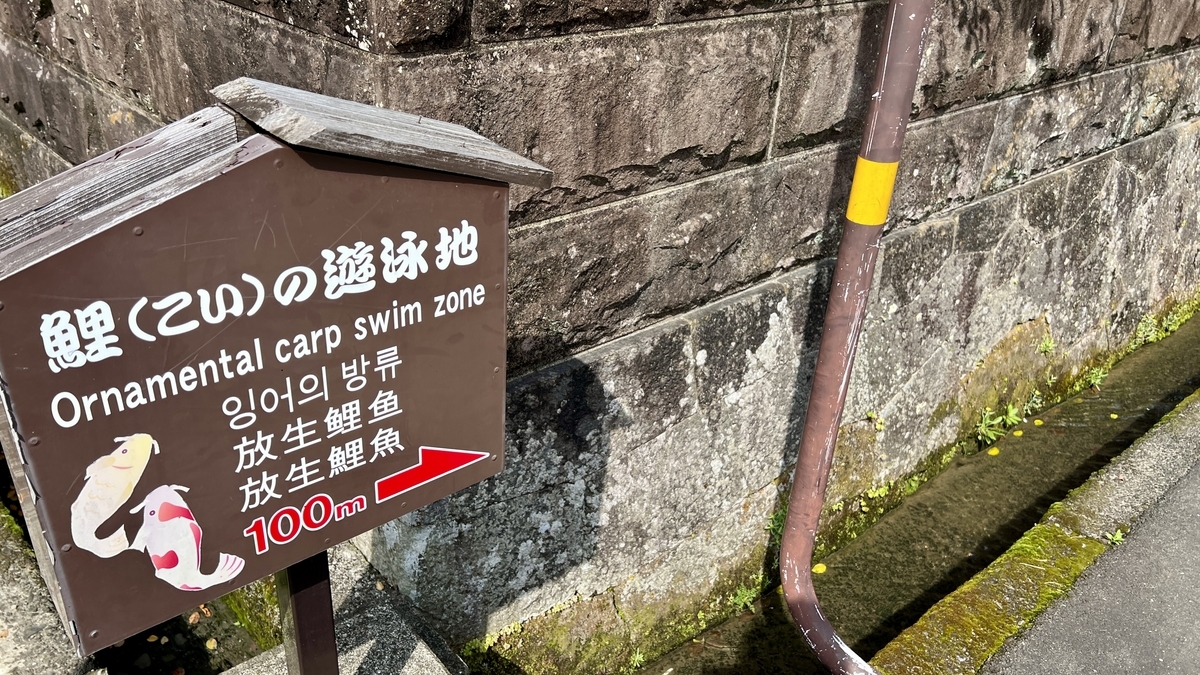 指示鲤鱼游泳地的标识和水路