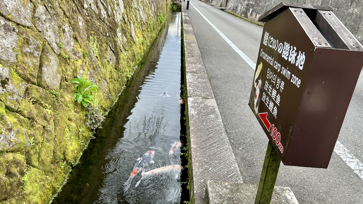 鲤鱼游泳地的标识和俯瞰水路的照片