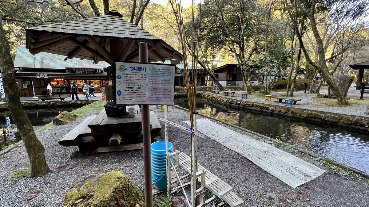 Rainbow trout fishing pond