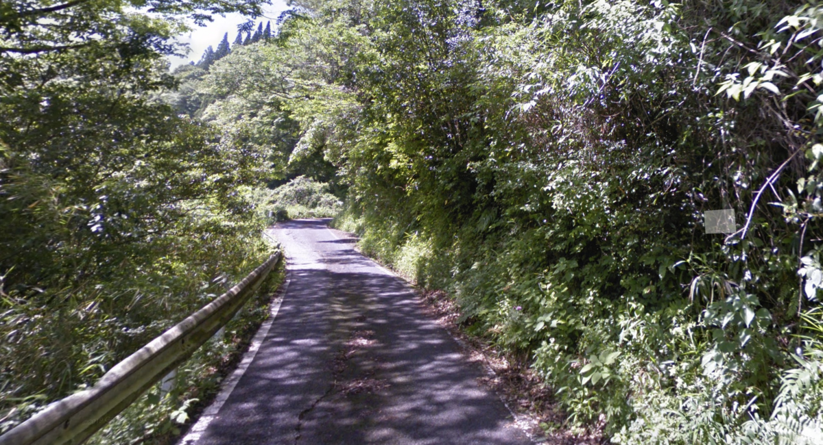 Narrow road barely wide enough for one car