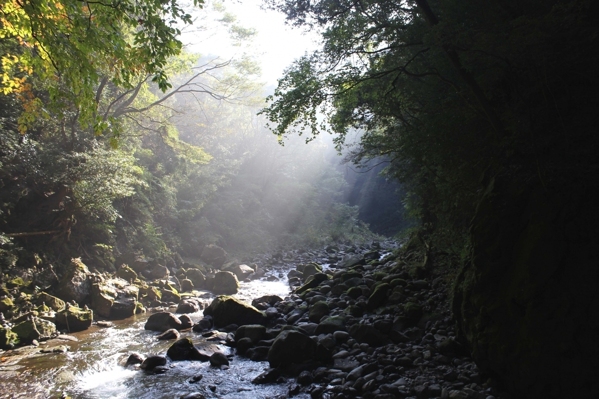 아마노이와토가 있는 이와토가와 강과 숲에 빛이 스며드는 모습