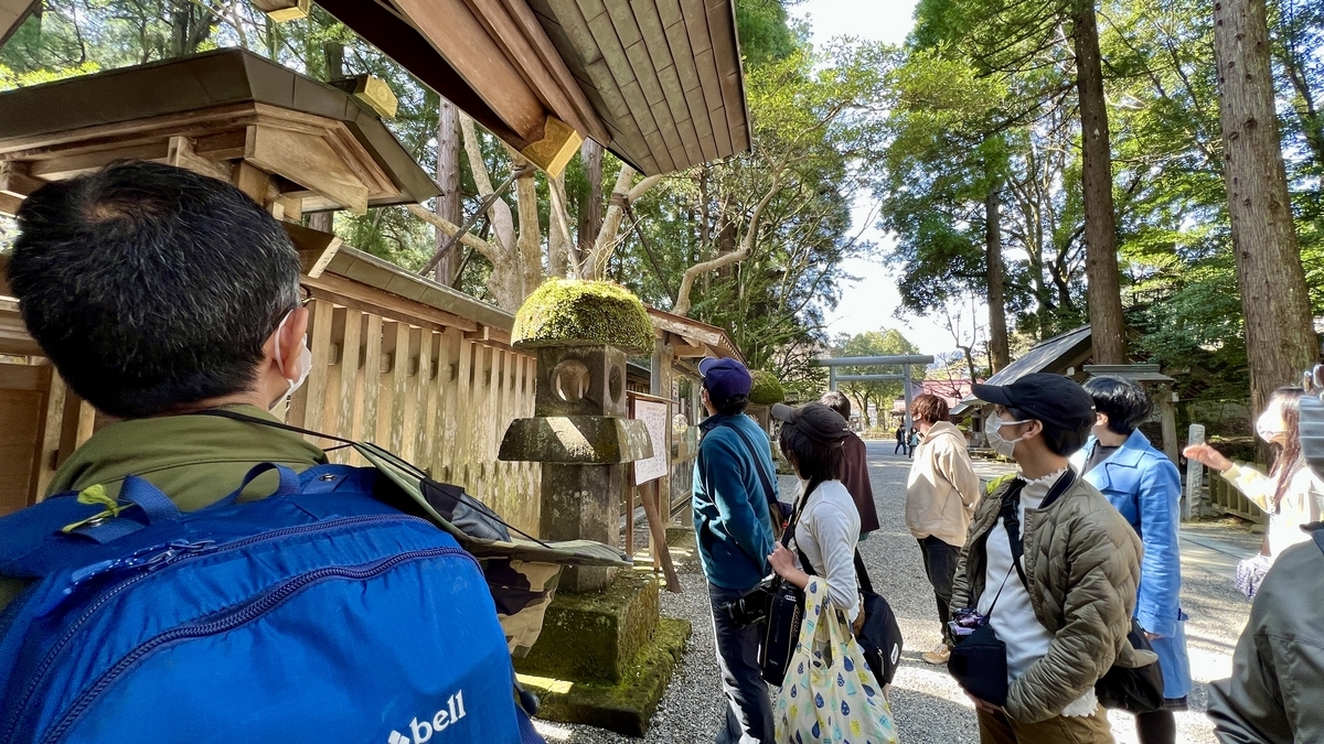 仰望大树听讲解的参拜者