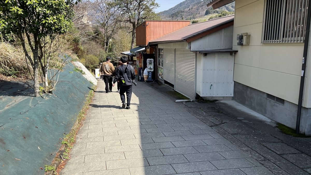 在林荫参道上行走的参拜者