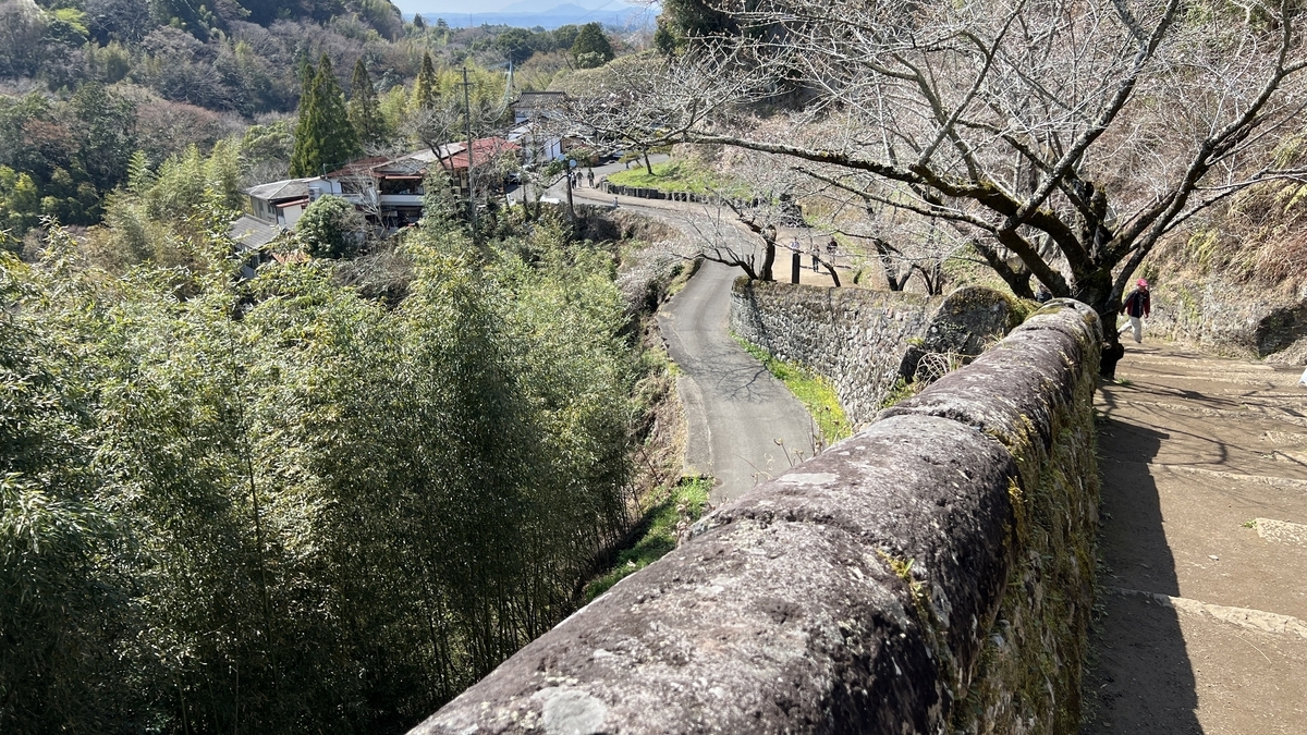석벽 너머로 보이는 길과 대나무 숲