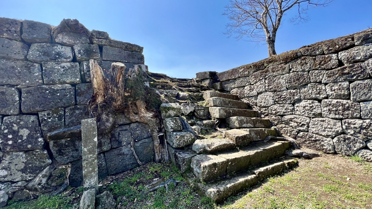 종 망루 터의 돌계단과 석벽에 남은 나무 그루터기