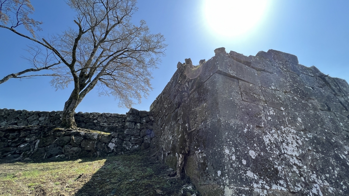 푸른 하늘을 향해 뻗은 나무와 태고 망루 석벽
