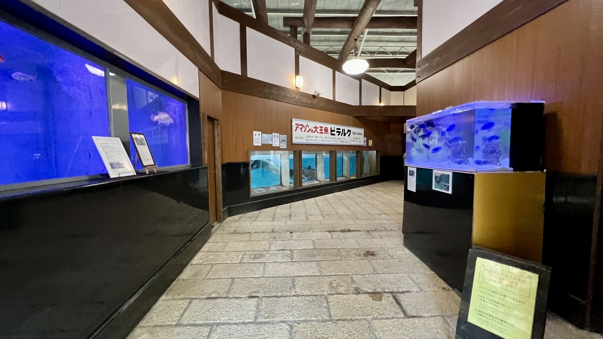 열대어관 관내 통로와 푸른 수조가 늘어선 전시실 모습