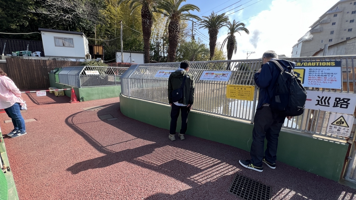 악어원 사육 연못을 위에서 내려다보는 관람객과 철망 울타리