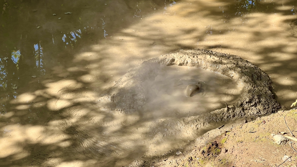 갈색 진흙탕에서 보글보글 솟아오르는 작은 분기공