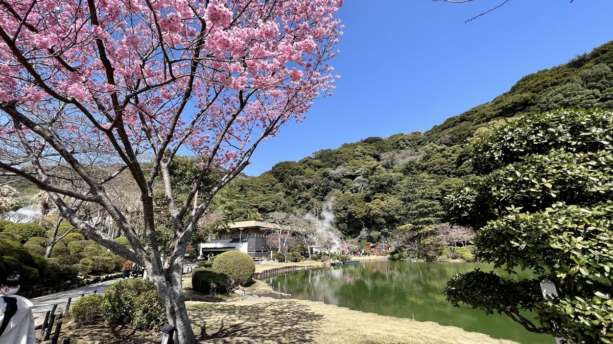 우미지고쿠 정원에 핀 벚꽃과 파란 하늘에 비친 연못 풍경