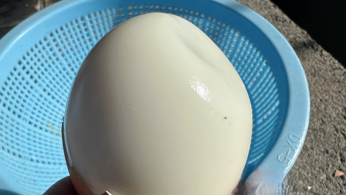 殻をむいた温泉卵を手に持ち青いザルが背景に映る様子