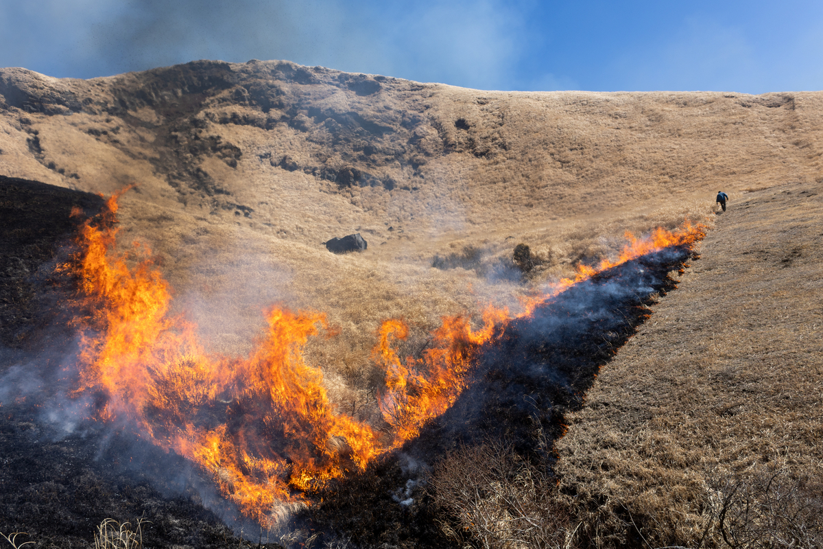 野烧火线呈带状在草原斜坡蔓延并冒出烟雾