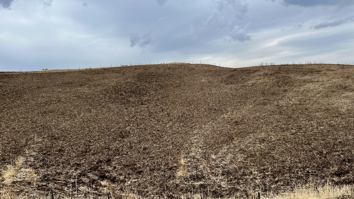 野烧后变黑的大观峰草原与山脊上的围栏