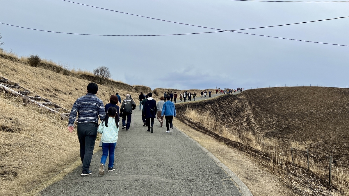 在烧焦的山坡之间的铺装道路上前往观景台的队伍