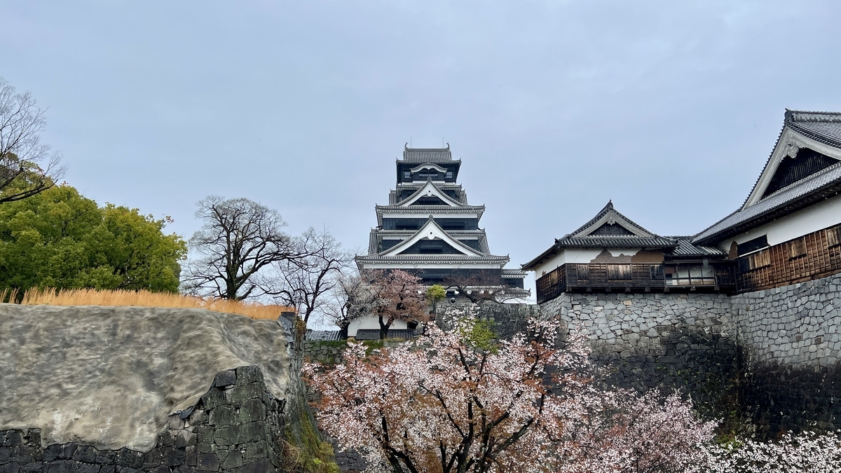 석축 위에 우뚝 선 구마모토성 천수각과 봄의 벚꽃
