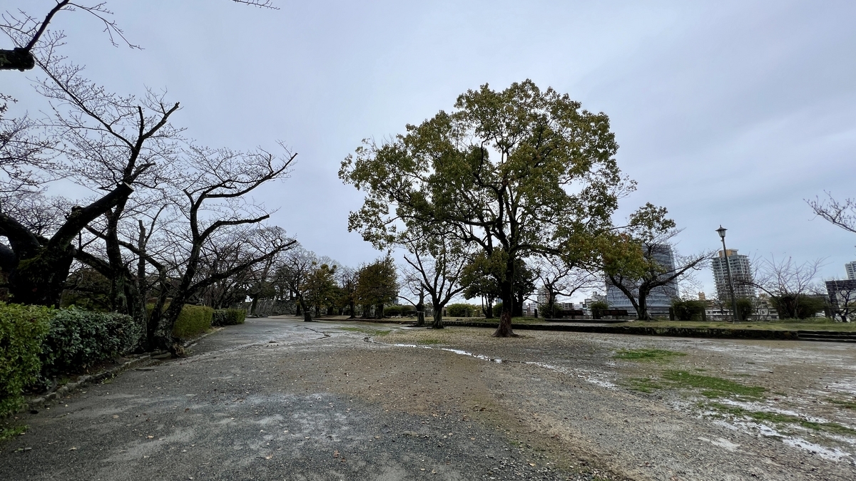 東二之丸附近廣場上鋪展的沙地和散布的樹木