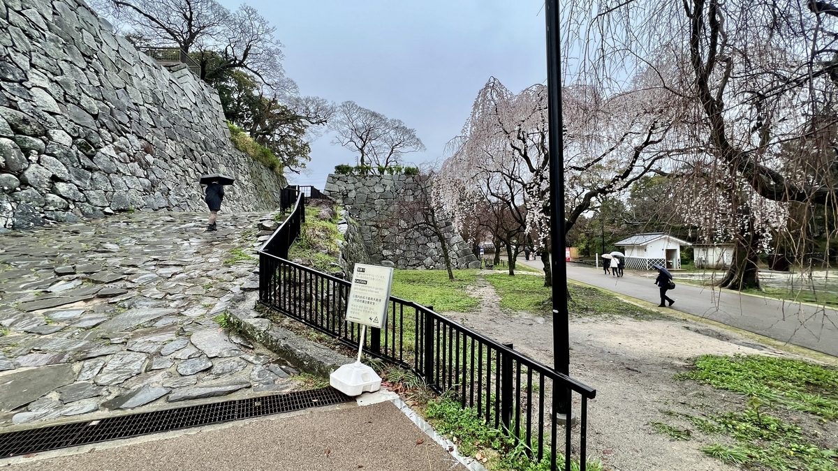 天守台入口的石板坡道，越過指示牌可見櫻花林蔭道