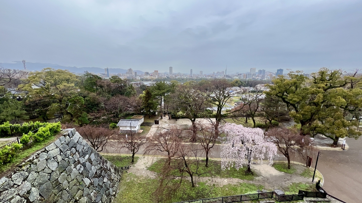 從天守台觀景台俯瞰的石牆、垂枝櫻和福岡市區