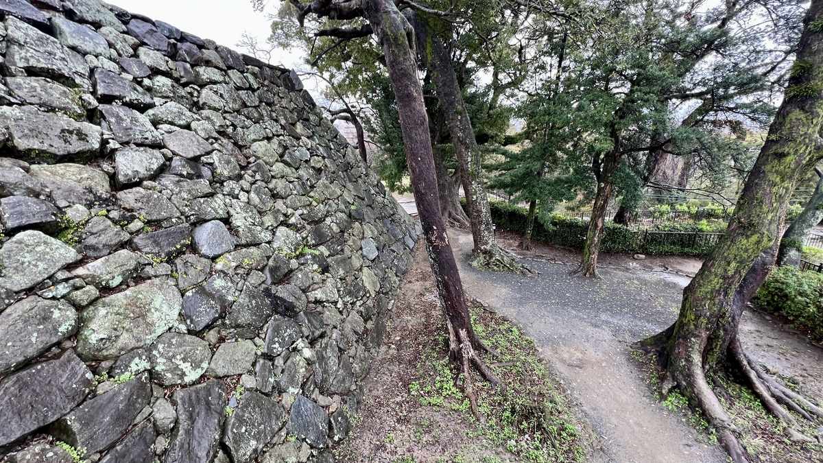 俯瞰天守台石牆旁延續的樹林小道